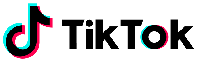 guida tiktok